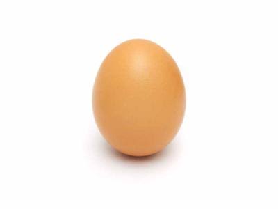 Œuf